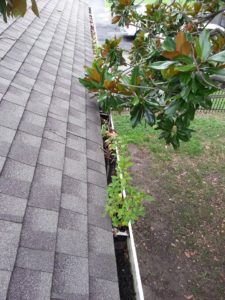 norfolk roof maintenance gutters 02