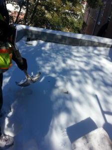 We were preparing this roof in Norfolk to be replaced the next day by removing all of the snow.