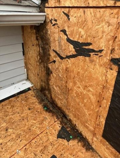 siding and roof repair 1