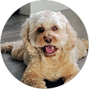 Tina C profile picture